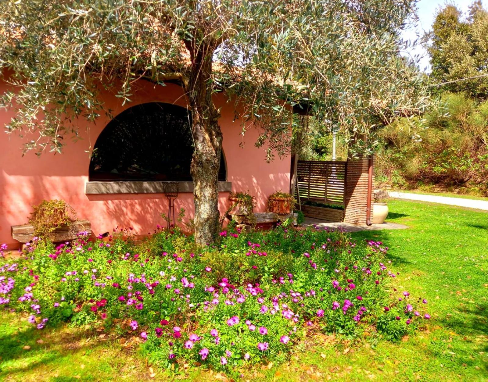 La Chiesuola Bed & Breakfast Bagnaia  Exterior photo
