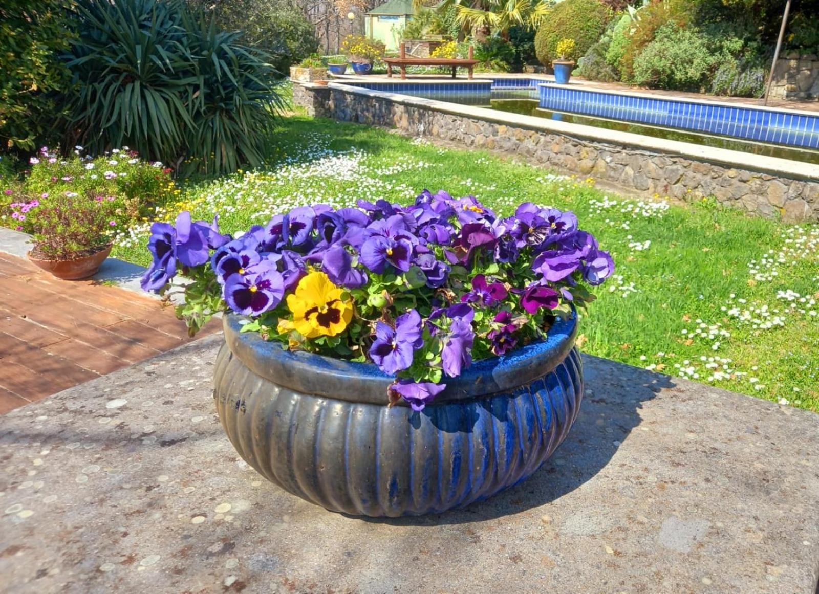 La Chiesuola Bed & Breakfast Bagnaia  Exterior photo