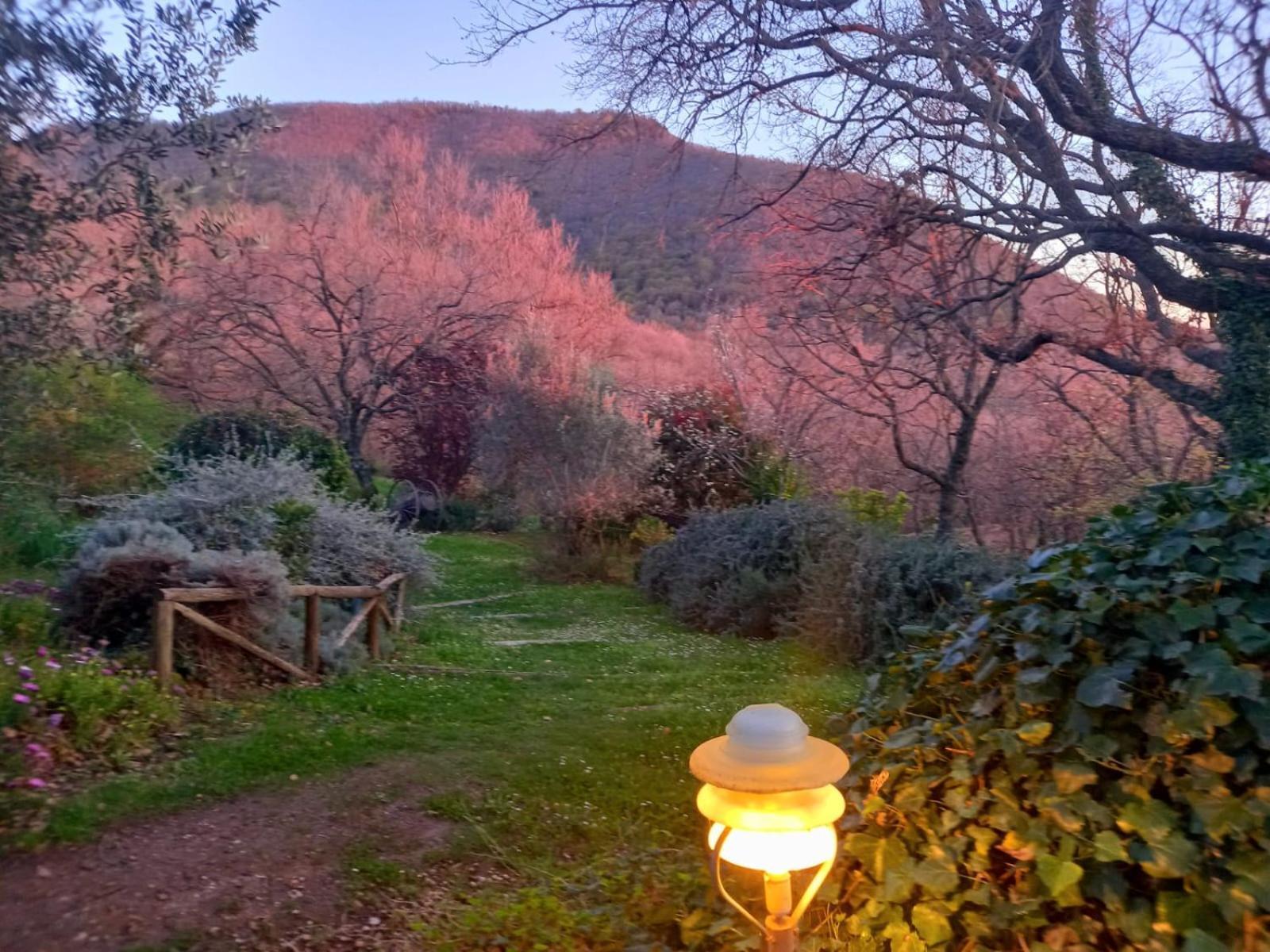 La Chiesuola Bed & Breakfast Bagnaia  Exterior photo