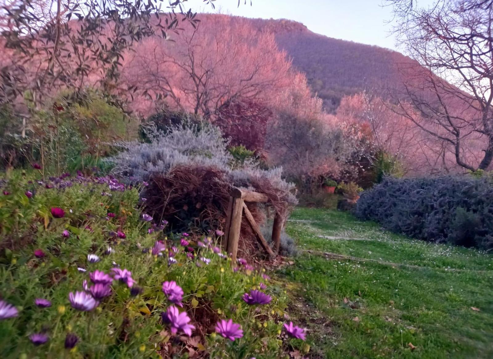 La Chiesuola Bed & Breakfast Bagnaia  Exterior photo